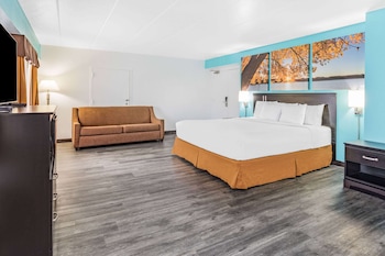 Studio, 1 King Bed, Non Smoking