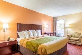 Standard Room, 1 King Bed, Non Smoking