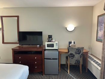 Basic Single Room