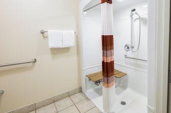 Standard Room, 1 King Bed (Roll-In Shower, Smoke Free)
