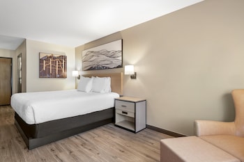 Standard Room, 1 King Bed, Accessible, Bathtub