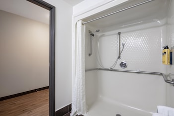 Standard Room, 1 King Bed, Accessible, Non Smoking