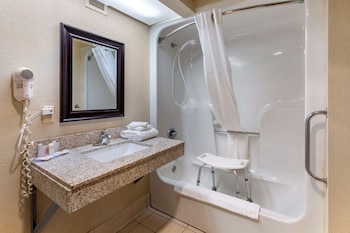 Room, 1 King Bed, Accessible, Non Smoking