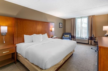 Room, 1 King Bed, Accessible, Non Smoking