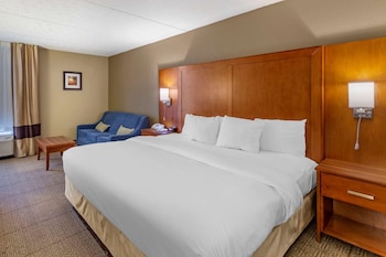 Standard Room, 1 King Bed with Sofa bed, Non Smoking