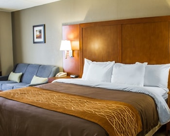 Standard Room, 1 King Bed with Sofa bed, Non Smoking
