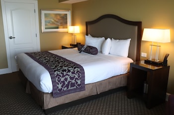 ADA Lakeshore Queen  (1 Queen Bed)