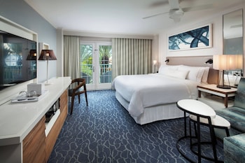 Room, 1 King Bed with Sofa bed