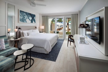Room, 1 King Bed with Sofa bed