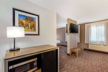 Suite, 1 King Bed with Sofa bed, Non Smoking
