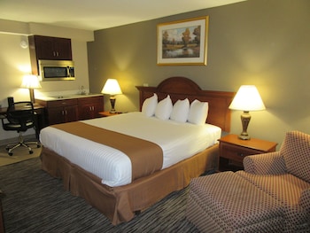 Suite, 1 King Bed, Non Smoking, Kitchenette (with Sofabed)