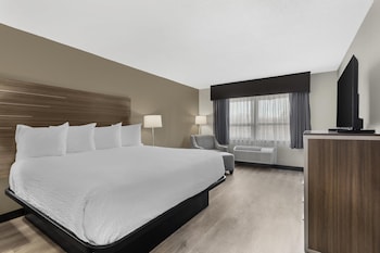 Suite, 1 King Bed, Non Smoking, Kitchenette (with Sofabed)