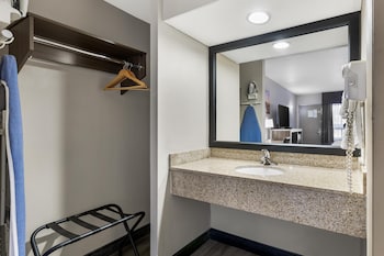 Standard Room, 1 King Bed, Non Smoking, Refrigerator & Microwave (Pet Friendly)