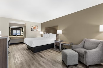 Standard Room, 1 King Bed, Non Smoking, Refrigerator & Microwave (Pet Friendly)
