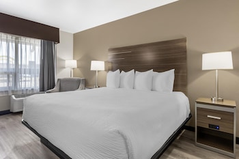 Standard Room, 1 King Bed, Accessible, Refrigerator & Microwave
