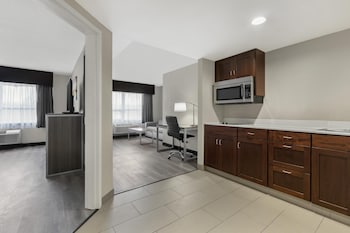 Suite, 1 King Bed, Non Smoking, Kitchenette (with Sofabed)