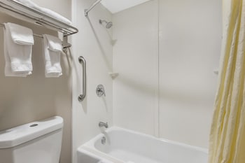 Standard Room, 1 King Bed, Non Smoking, Refrigerator & Microwave (Pet Friendly)
