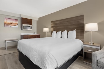 Executive Studio, 1 King Bed, Non Smoking, Refrigerator & Microwave