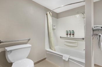 Standard Room, 1 King Bed, Accessible, Refrigerator & Microwave