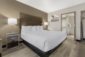 Standard Room, 1 King Bed, Accessible, Refrigerator & Microwave