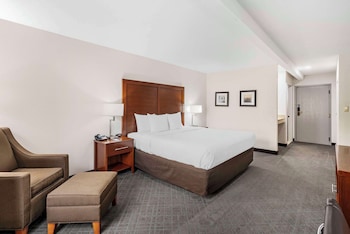 Room, 1 King Bed, Non Smoking