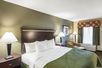 Standard Room, 1 King Bed, Non Smoking
