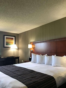 Room, 1 King Bed, Non Smoking