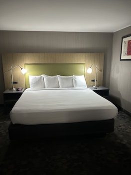 Suite, 1 King Bed, Non Smoking