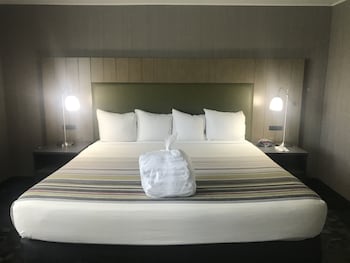 Room, 1 King Bed, Non Smoking