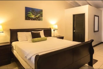 Standard Room, 1 King Bed, Beachfront