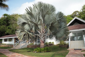 Executive Bungalow, 2 Bedrooms, Ocean View, Beachfront