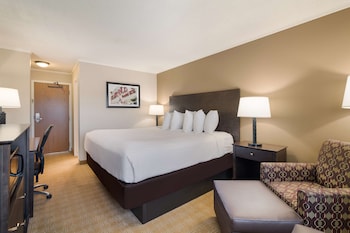 Standard Room, 1 King Bed, Non Smoking, Refrigerator & Microwave