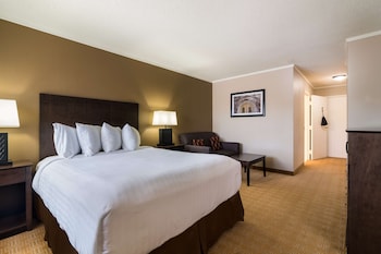 Standard Room, 1 Queen Bed, Non Smoking, Refrigerator (with Sofabed)