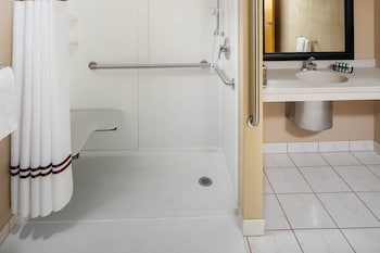 Standard Room, 1 King Bed, Accessible, Non Smoking (Walk-in Shower)