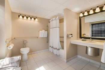 Standard Room, 1 King Bed, Accessible, Non Smoking (Walk-in Shower)