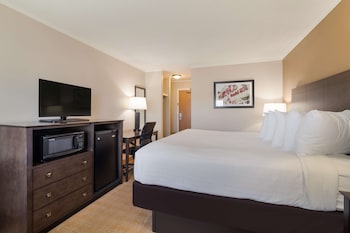 Standard Room, 1 King Bed, Non Smoking, Refrigerator & Microwave