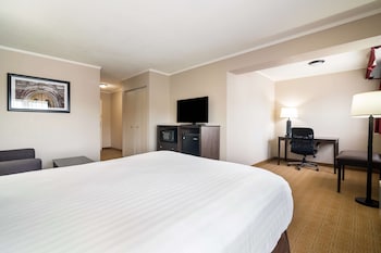 Standard Room, 1 Queen Bed, Non Smoking, Refrigerator (with Sofabed)
