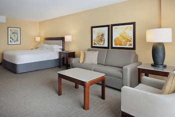 Room, 1 King Bed with Sofa bed (Hearing Accessible)