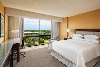 Room, 1 Queen Bed