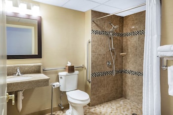 Room, 1 Queen Bed, Accessible, Non Smoking (Roll-In Shower)