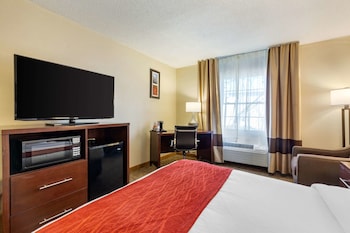 Standard Room, 1 Queen Bed, Non Smoking