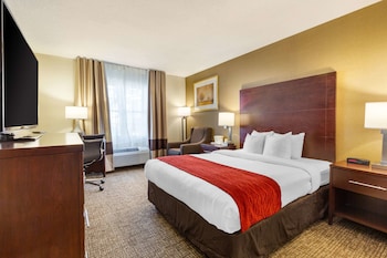 Standard Room, 1 Queen Bed, Non Smoking
