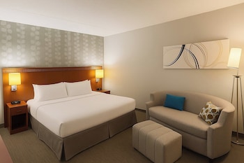 Suite, 1 King Bed