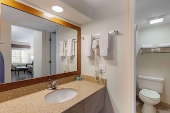 Suite, 1 Queen Bed, Non Smoking, Refrigerator & Microwave (Separate Living Room;with Sofabed)