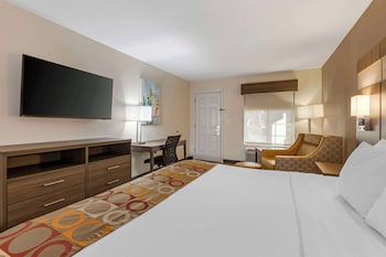 Standard Room, 1 King Bed, Non Smoking, Refrigerator & Microwave