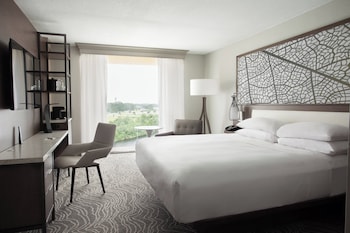Room, 1 King Bed, Lake View