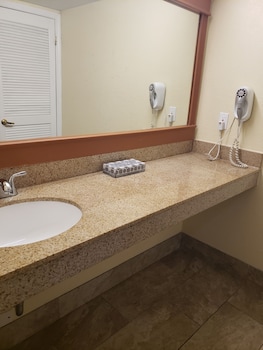 Deluxe Studio Suite, Non Smoking