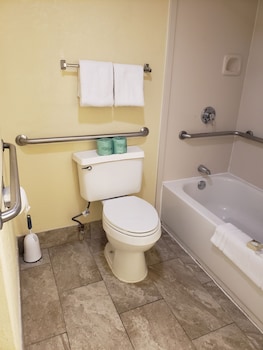 Deluxe Studio Suite, Non Smoking