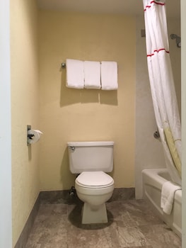 Studio Suite, 1 Queen Bed with Sofa bed, Non Smoking