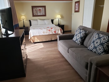 Studio Suite, 1 Queen Bed with Sofa bed, Non Smoking